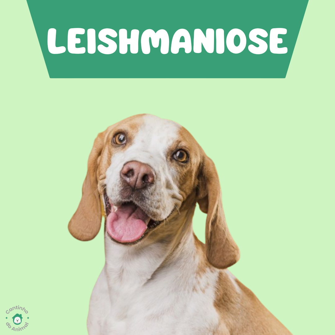 Leishmaniose