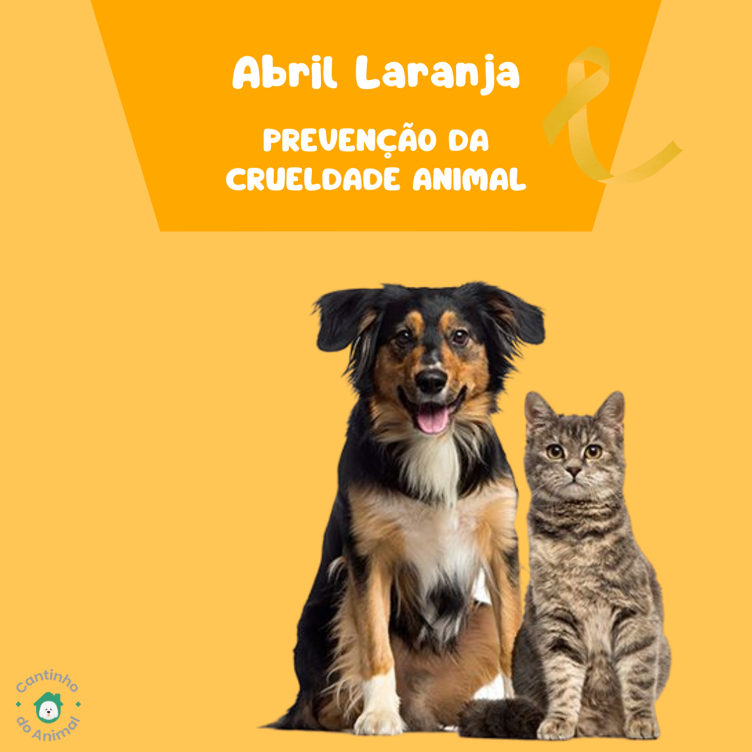 Abril laranja – PREVENÇÃO DA CRUELDADE ANIMAL